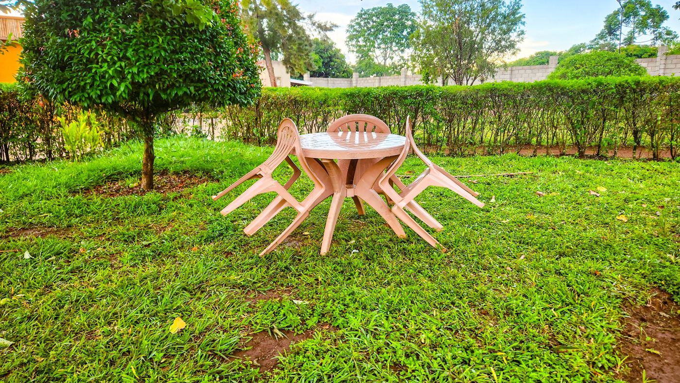 Garden table and chairs under a tree on the lawn