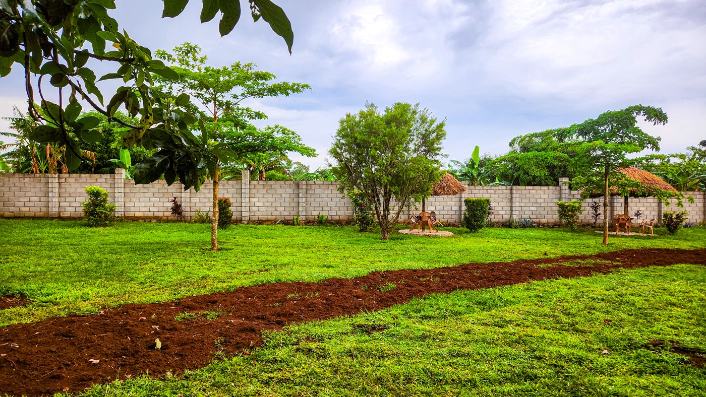 Lawn and boundary wall
